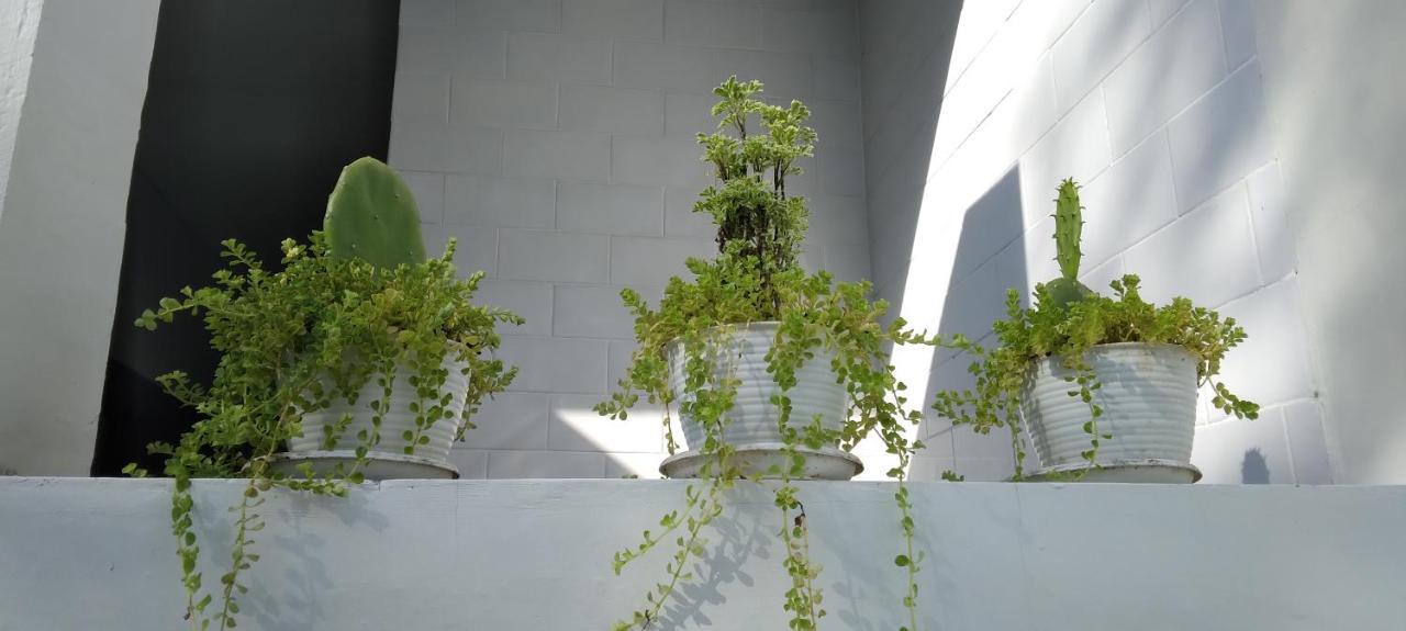 The Seaglass Villas Bingin Uluwatu Esterno foto