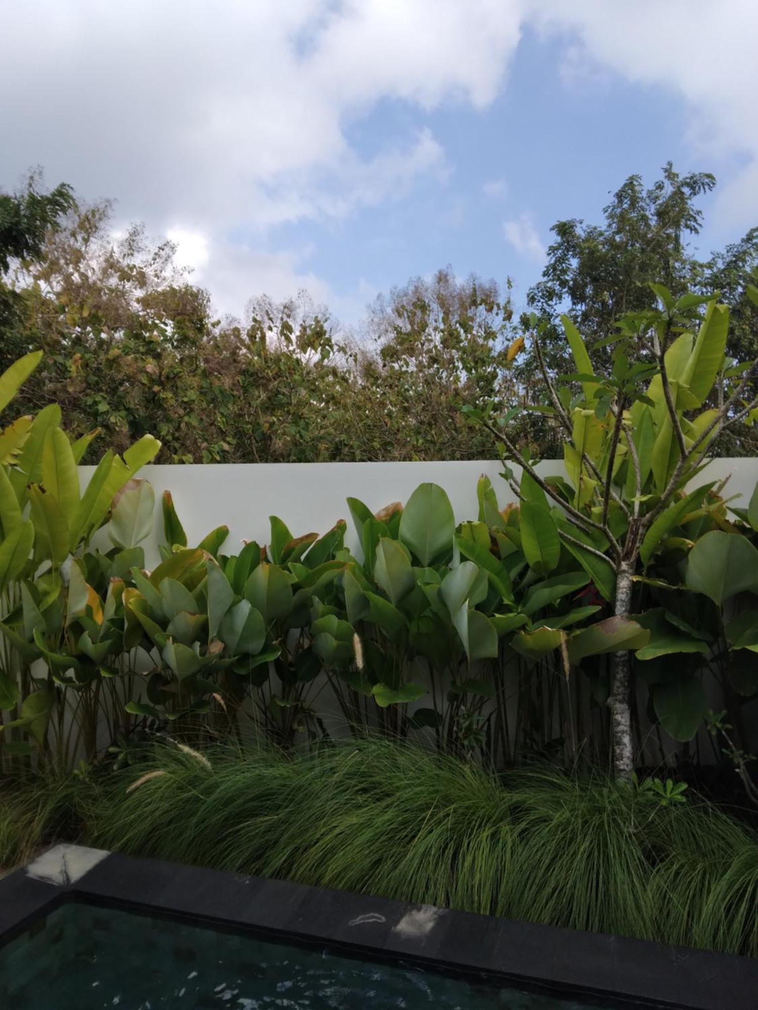 The Seaglass Villas Bingin Uluwatu Esterno foto